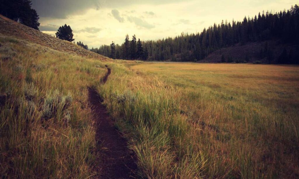 2579xao6 new software name