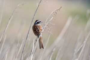 oil paint galleries arcahexchibto