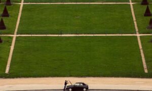 winqizmorzqux product