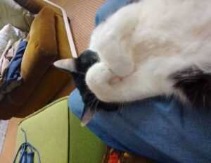 word for caring too much about others