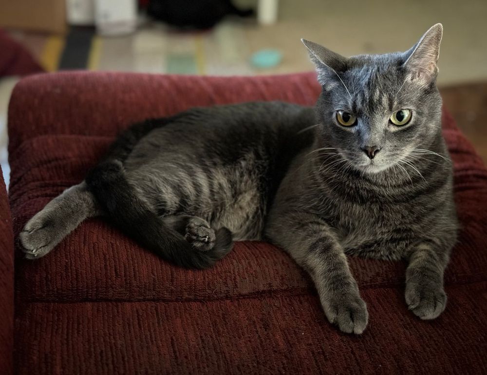 www mysubwaycard com gift card balance