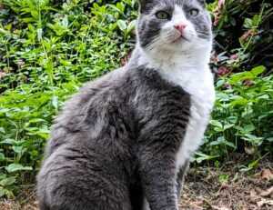 xnxubd video bokeh full bokeh lights video bokeh google earth 2021 new link japan blue.com