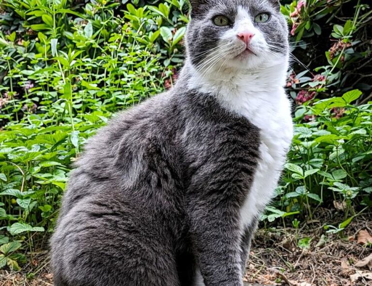 xnxubd video bokeh full bokeh lights video bokeh google earth 2021 new link japan blue.com