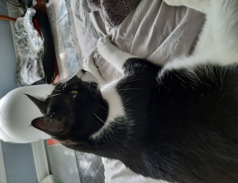 active directory logo flpcrestation