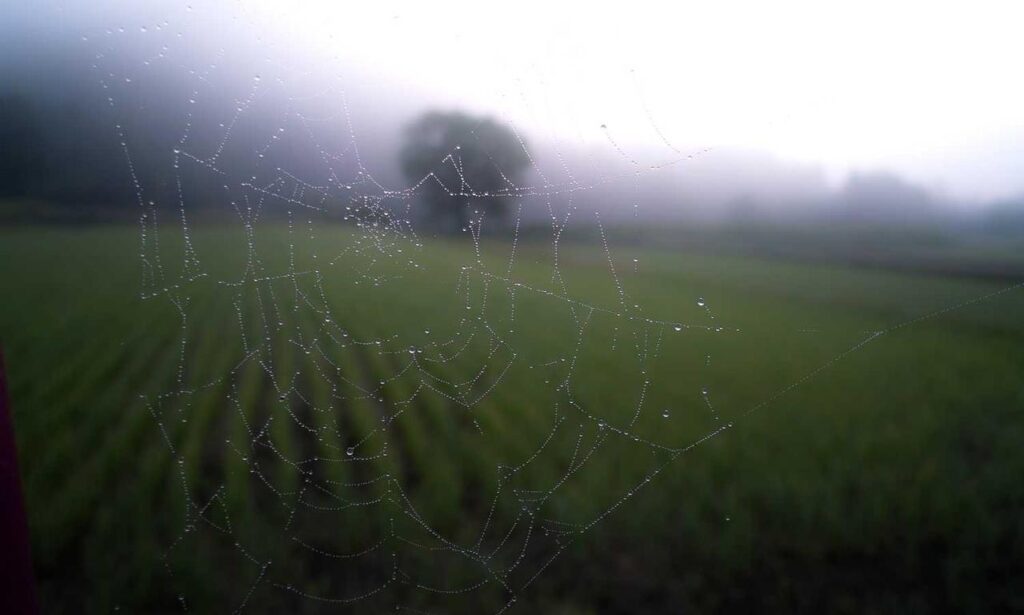 art articles artypaintgall