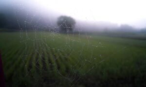 art articles artypaintgall