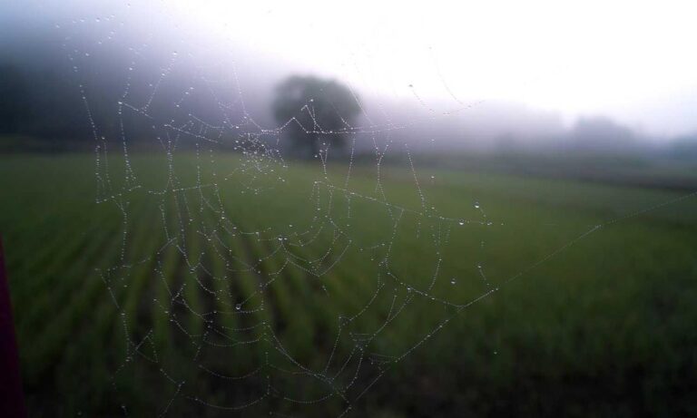 art articles artypaintgall