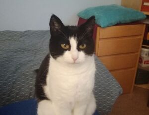 art directory artypaintgall