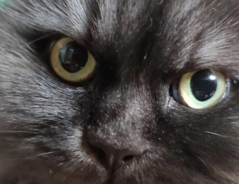 art listings artypaintgall