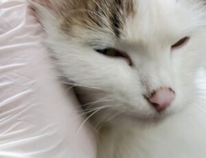 articles art artypaintgall