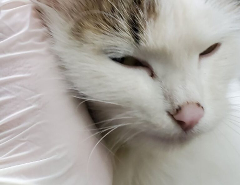 articles art artypaintgall