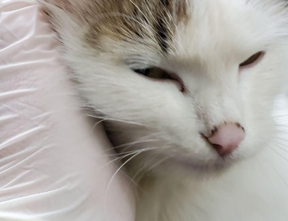 articles art artypaintgall