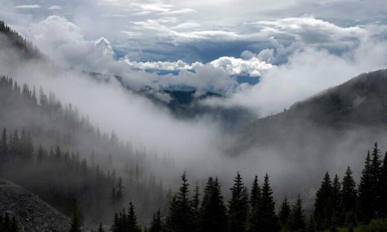 exhibition art arcachdir