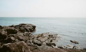 exhibitions arcyhist