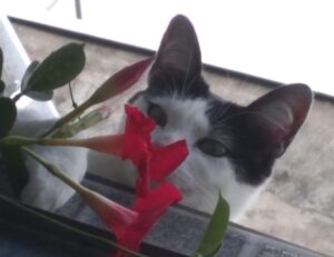 famous art articles artypaintgall