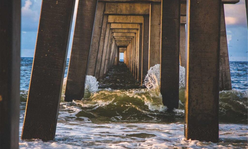 flpcrestation free marks by freelogopng