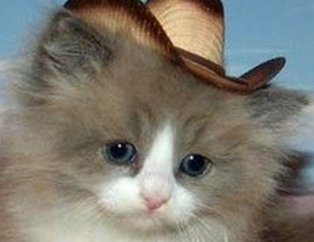 flpemblemable free emblem by freelogopng