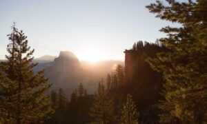 how art galleries work arcagallerdate