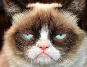 mark listings flpcrestation