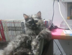 new fine art articles artypaintgall