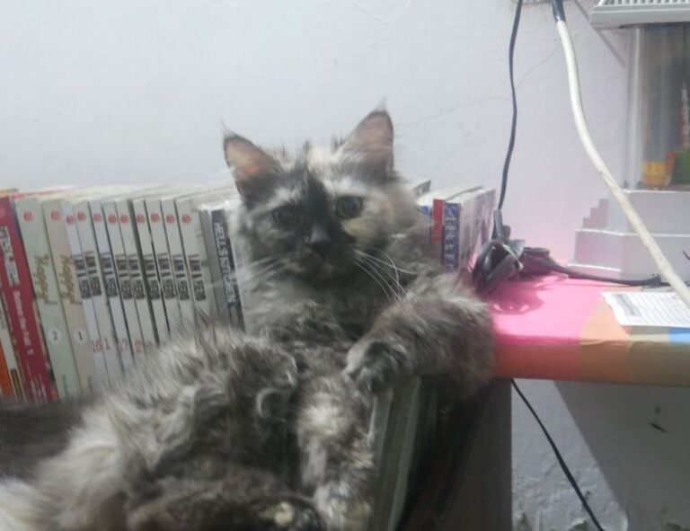 new fine art articles artypaintgall