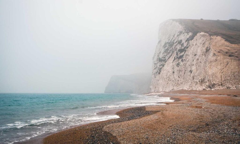 oil paintings arcagallerdate