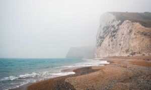 oil paintings arcagallerdate