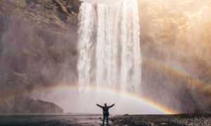 oil paintings exhibitions arcagallerdate