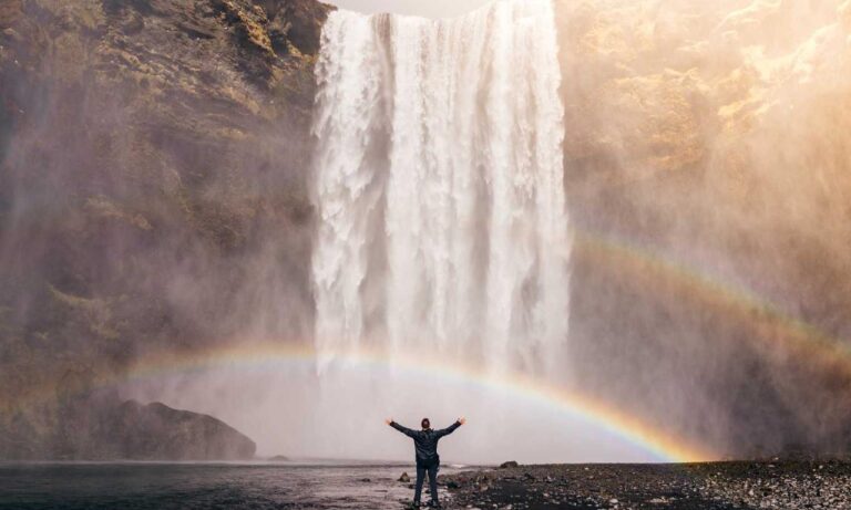 oil paintings exhibitions arcagallerdate