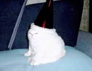 where can i find free logos flpemblemable