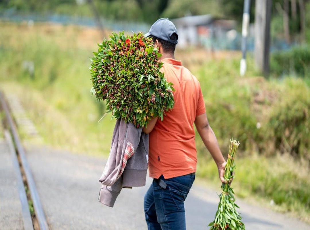තමන්ගේ වාසියට පමණක් ලංවන මිතුරන් පිළිබඳ වදන් (Words About Friends Who Are Only Around for Their Own Benefit)