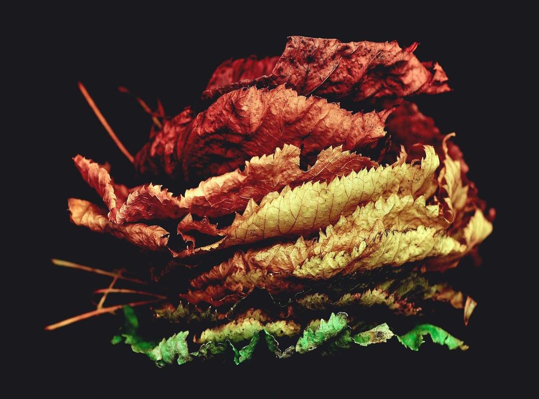 Warning: The Hidden Risks of 'Free' MP3 Download Websites