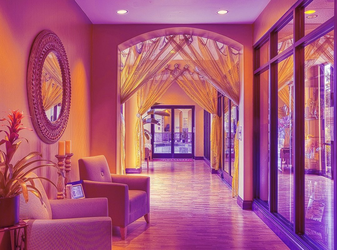 How to Use Bluey Bailando PNG Images