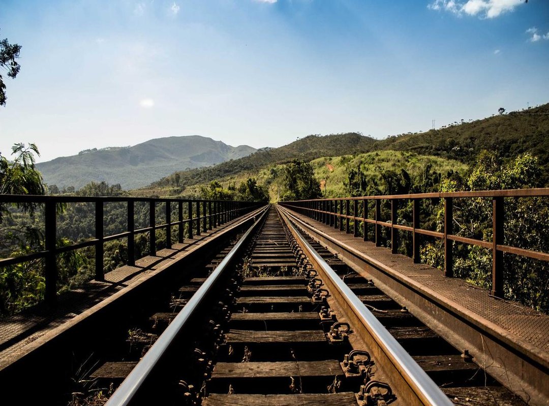 Nutrition Strategy: How to Fuel Your Mesomorph Frame