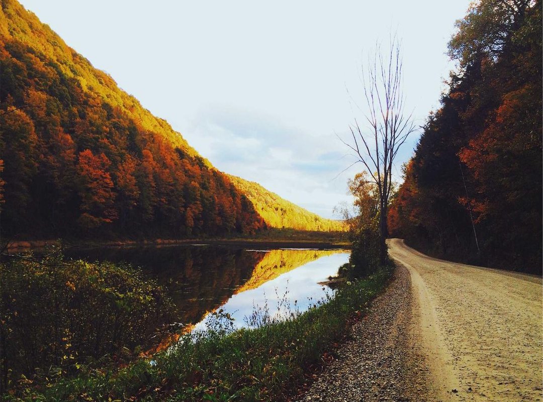 The Sound and the Meme: Breaking Down the Trend