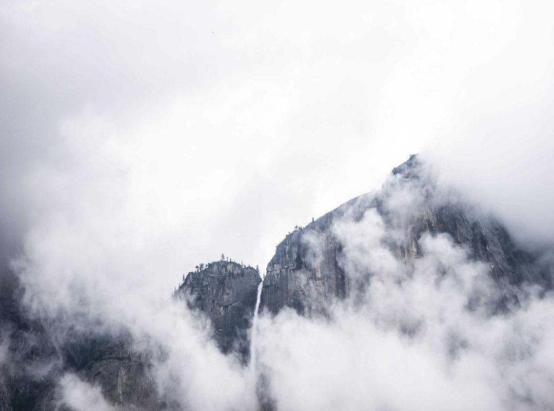 The Origin Story: Unpacking Ari's Background