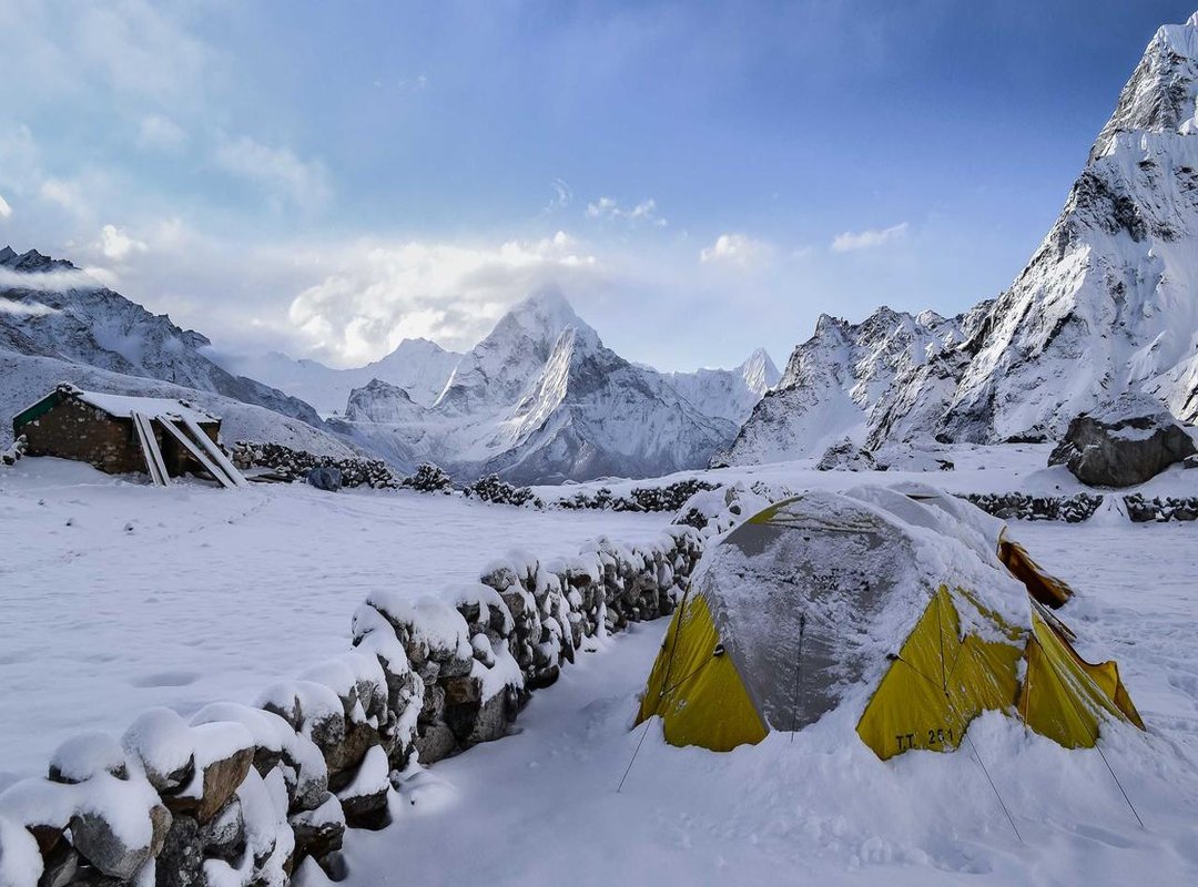 Menu Highlights: From Zinger Burgers to Buckets