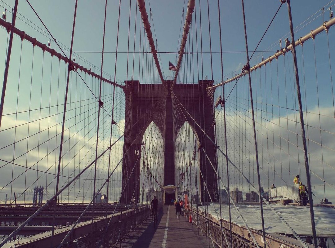 Introducing Risma: The New Relationship in the Public Eye