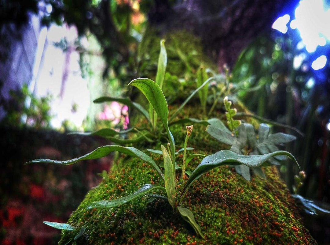 The Ultimate Test: Fit, Comfort, and Ease of Use