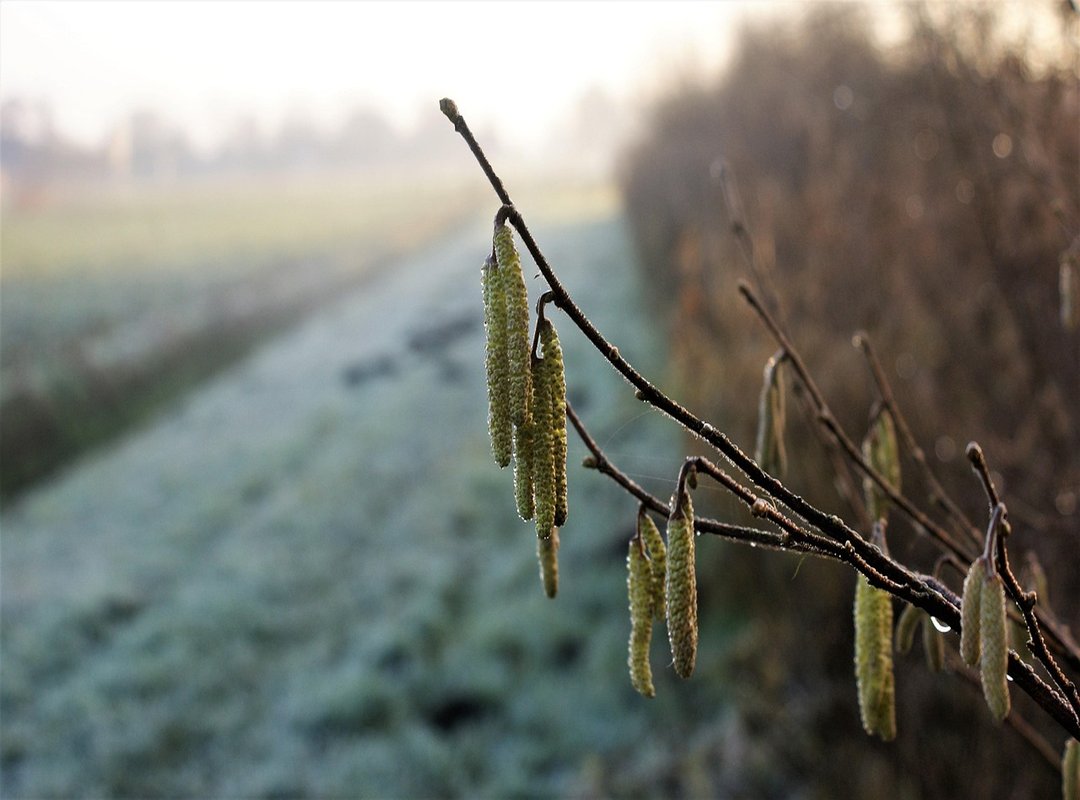 Where to Find Official Results You Can Trust